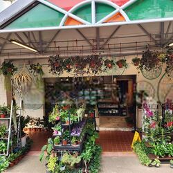 Kovan City (D19), Retail #545516891